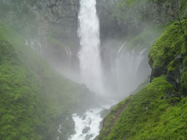 ���̒������z�I�ł����_���T���΁@�،��m��