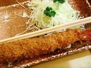 hikarĩGrtCH܂͂̓eʐ^1