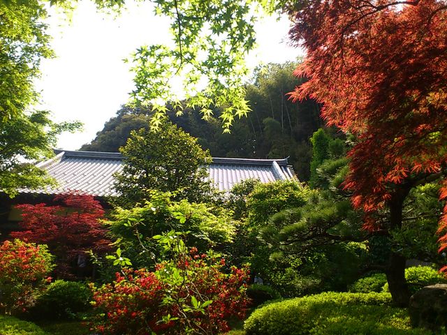 鈴虫寺(華厳寺）】アクセス・営業時間・料金情報 - じゃらんnet