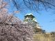 しゅにんさんの大阪城天守閣の投稿写真1