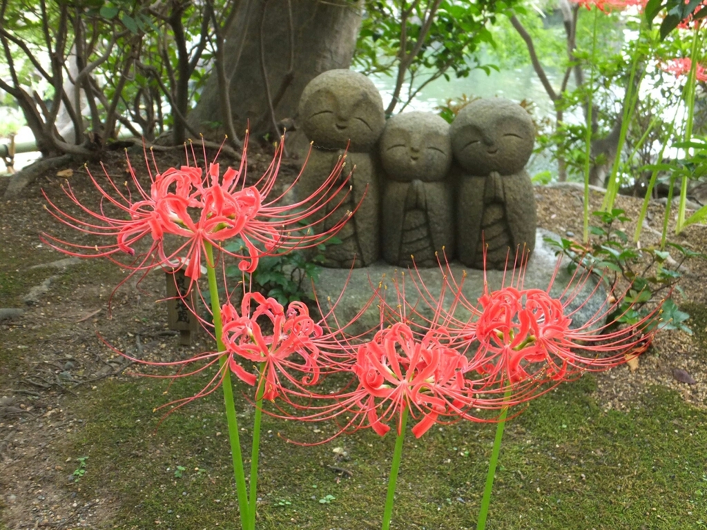 長谷寺(長谷観音)