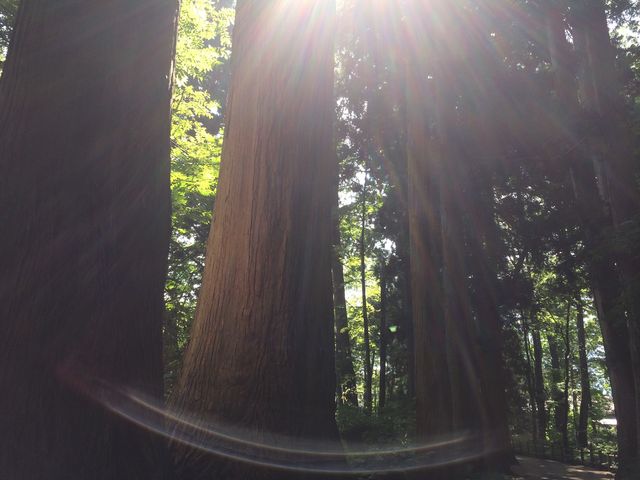 �\�a�c�_��