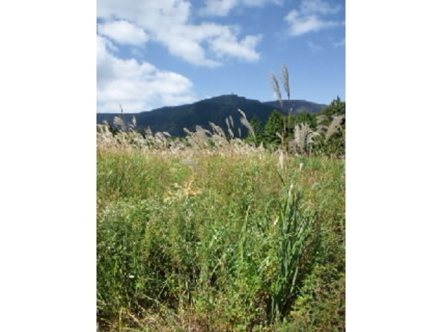 ��Ό�����