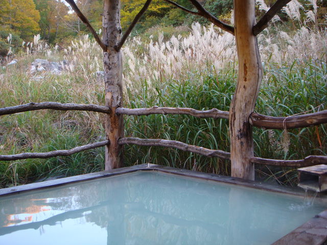 �����I�V�̓X�X�L�̒���_��������i�������򋽁j