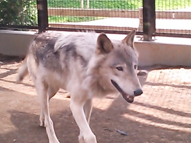 �~�R������