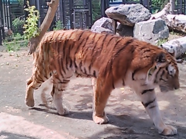 �~�R������