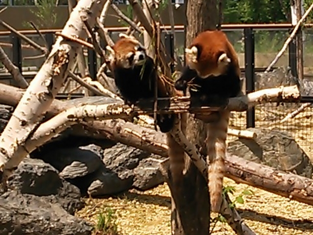 �~�R������