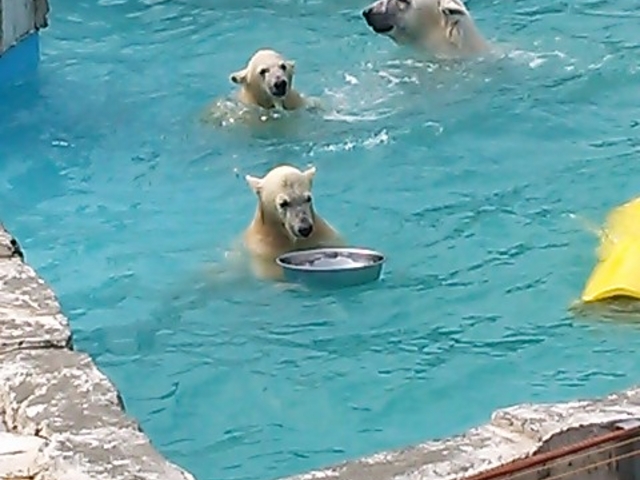 �~�R������