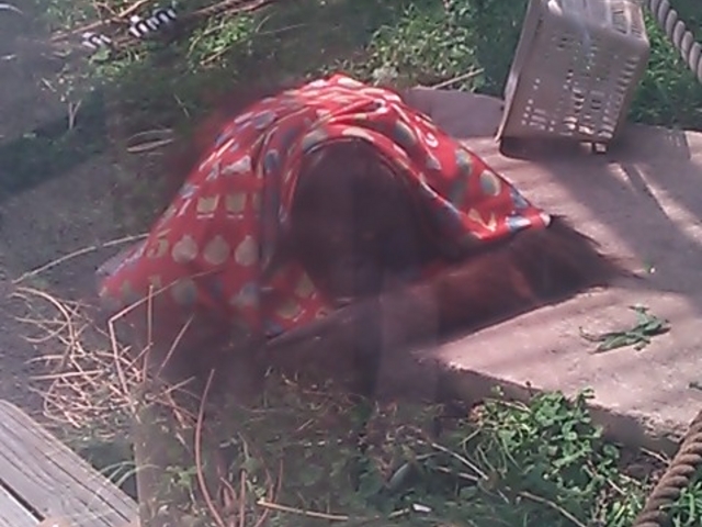 �~�R������