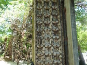 sakura̋vۓc|pق̓eʐ^1