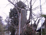 qY̍É_Ђ̑PL̓eʐ^1