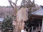 qY̍É_Ђ̑PL̓eʐ^2