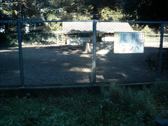 ͓̓AŋxގA܂pĂ܂łB__{