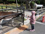 [[̔_ƃXg ׂׂ񂱂̓eʐ^4