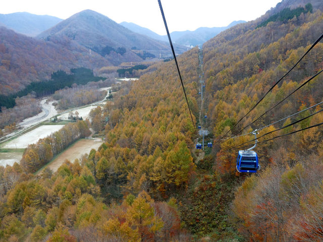 ����t�߂͍g�t���I���ƂȂ��Ă������r���͂܂������������B�R�����ʂ�艺��̕��̌i�F���悩�����B_�c��X�L�[��