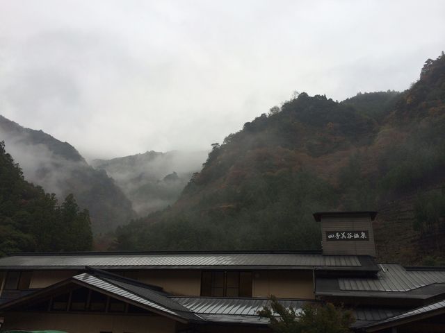 �l�G���J����