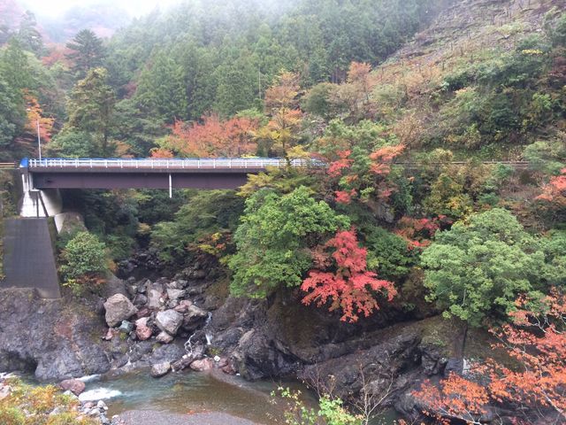 �l�G���J����