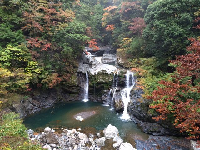 �l�G���J����