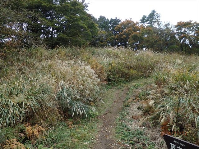 ����܂Ō�10���Ƃ������Ƃ���A���Ȃ�J���Ă���_��ԎR