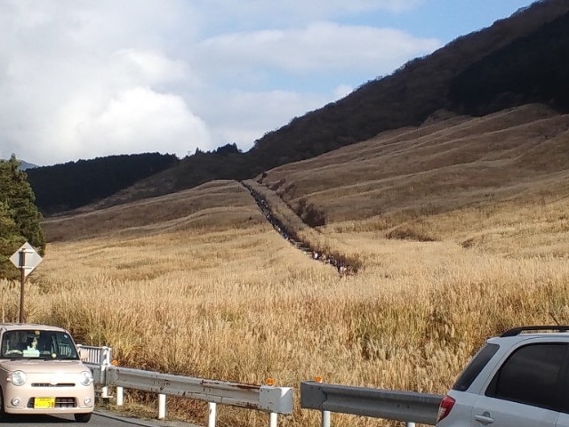 ��Ό�����