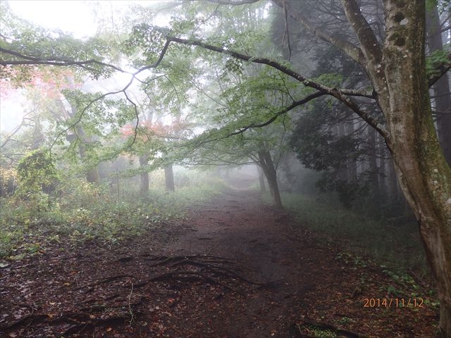 ����ɉ��ފ��q�Ó��A����R�t��_����R