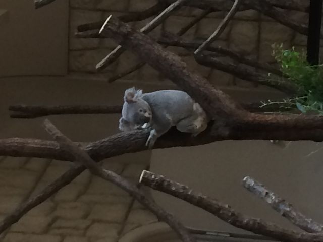 �����B�e������^_^_���R���A����