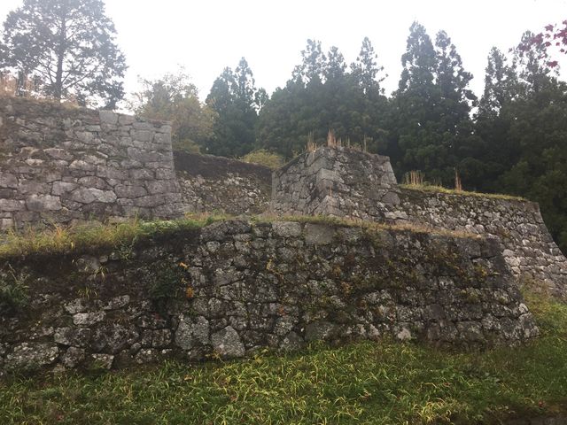 2014�N11��17���B�e_�⑺���