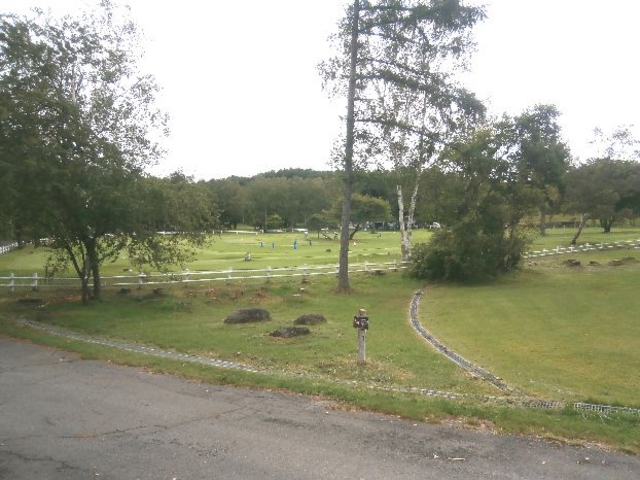 �����̃p�^�[�S���t��ł��B�����ƍL���ł��B_�����x���R������