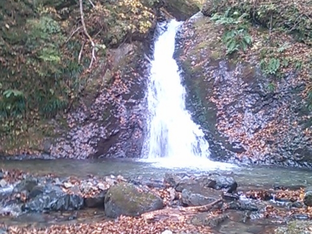 �����̑�_�����̑�