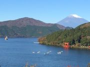 ݂邭܂܂̔mΐpق̓eʐ^1