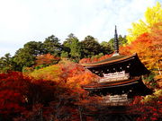 ���ǁ[����̋����@�̓��e�ʐ^1