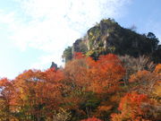 Zɂ񂳂̈ڔiW]̓eʐ^2