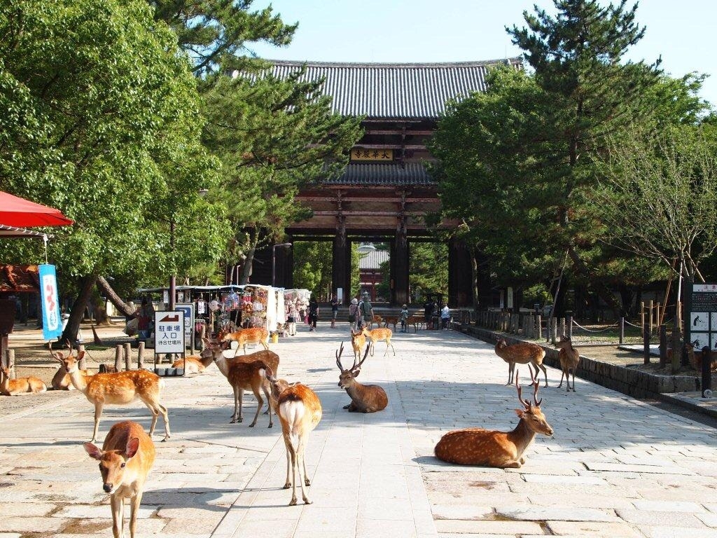 東大寺