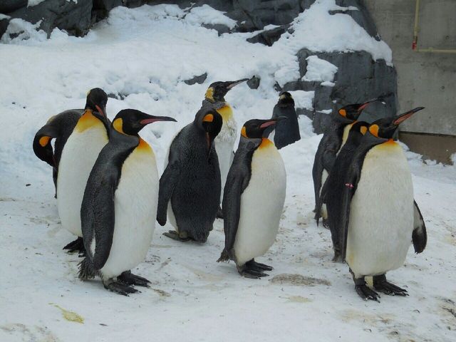 ���R������