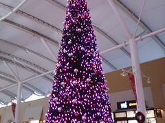 ̎OAEgbgp[N@؍XÂւ̓eʐ^1