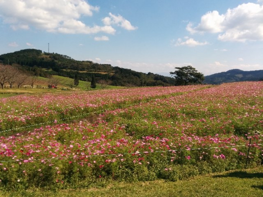 霧島高原