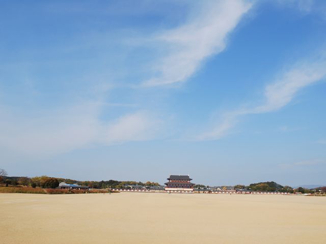 ��ɓa_���c����{�՗��j����