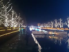 国営昭和記念公園の写真一覧 じゃらんnet