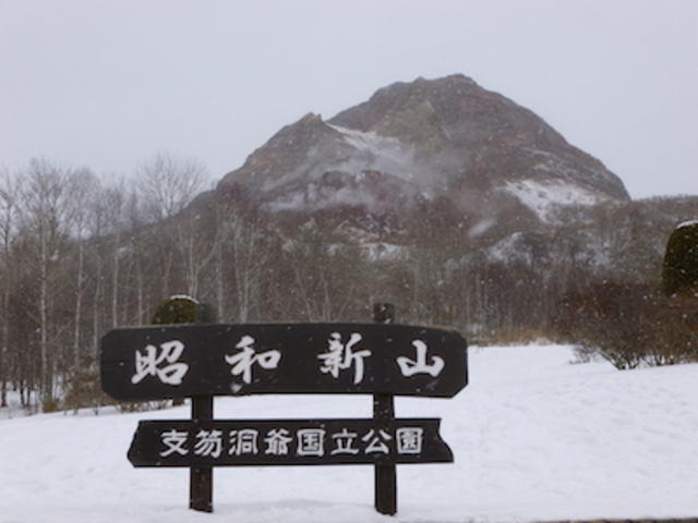 ��̏��a�V�R_���a�V�R