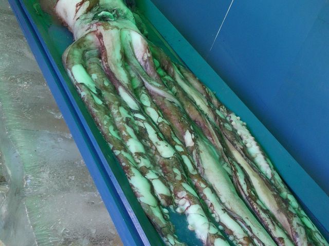 �~�R����