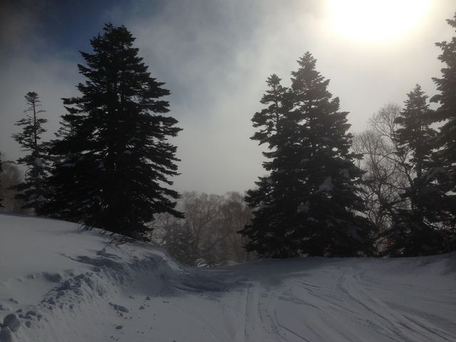 ���̓��͘[���Z���ɕ�܂�Ă��܂������A�Ȃ�ƎR���͐���Ă��܂����B_�������m���X�L�[��