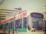 Ă񂳂̍L̘HʓdԂ̓eʐ^1