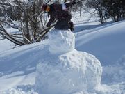 50̃Xm[{[h񂳂̌ˎ뉷XL[̓eʐ^2