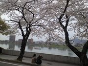 ���񂿂�񂳂�̖ؑ]��͔Ȍ��R��̍��̓��e�ʐ^1