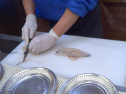 ͂}}̂͂ĊCNs̓eʐ^1