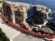 ˂񂳂̉Lː_{̓eʐ^1