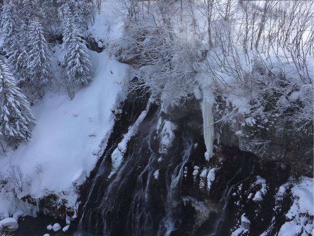 ���Ђ��̑�