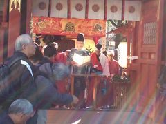 JCg܂܂̒_Ђւ̓eʐ^1