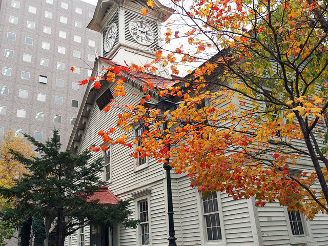 �؁X���F�Â��ėǂ����͋C�ł����B_�D�y�s���v��