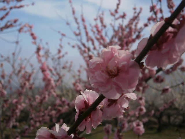 �g�~_�����R�~��